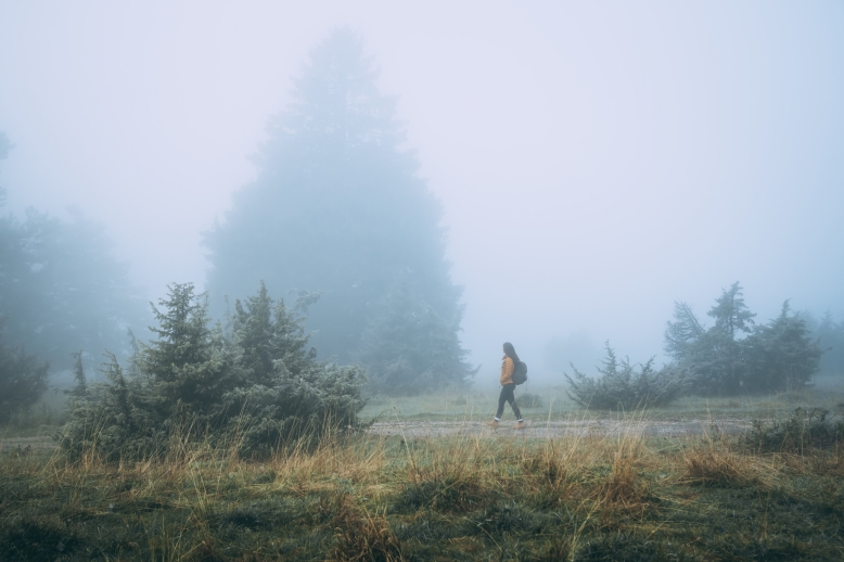 Wanderung auf Schotterweg durch die Wacholderheide im Nebel